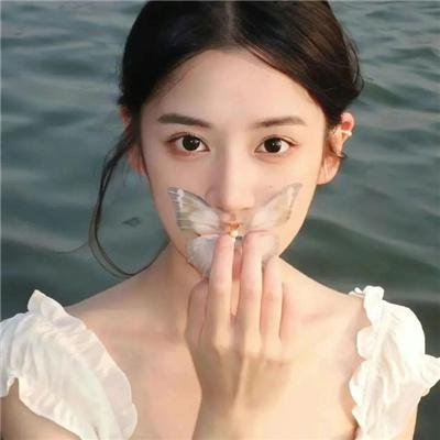 希德尼娅的骑士